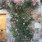 Alojamento de Acomodação e Pequeno-almoço Le Clos Saint Jean