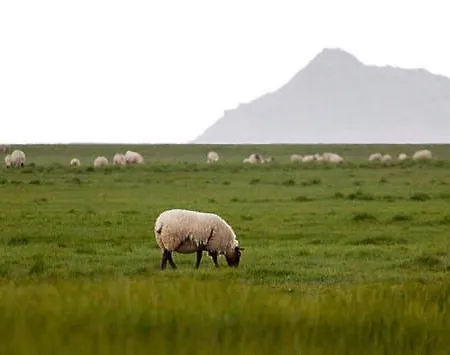 Le Clos Saint Jean 3*