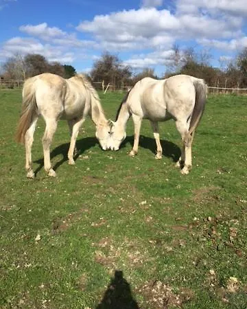 Le Clos Saint Jean לינה וארוחת בוקר