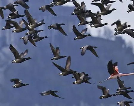 לינה וארוחת בוקר Le Clos Saint Jean Dragey