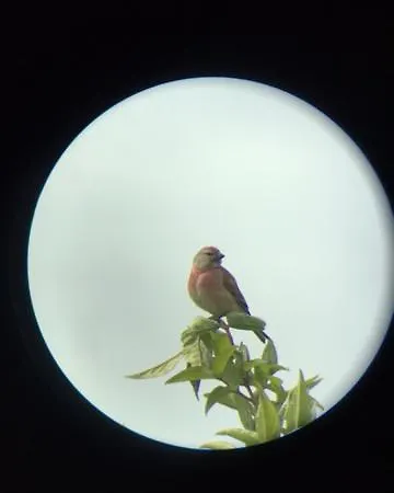 Le Clos Saint Jean 3*