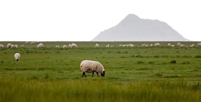 Le Clos Saint Jean 3*