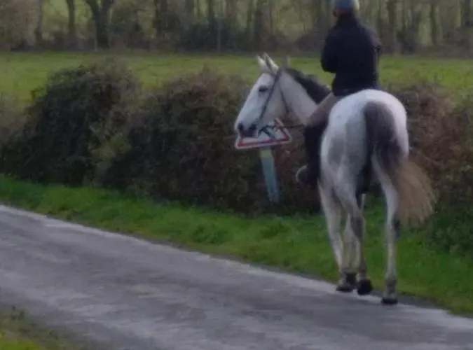 Le Clos Saint Jean Couette-café 3*