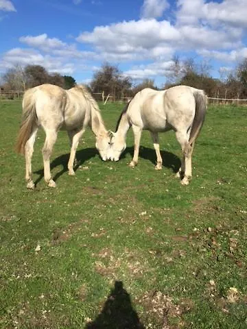 Le Clos Saint Jean Couette-café