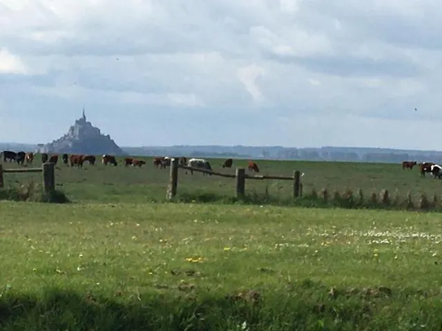 Le Clos Saint Jean Couette-café