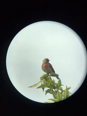 Le Clos Saint Jean 3*