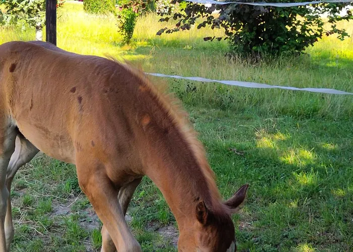 Couette-café Le Clos Saint Jean 3*